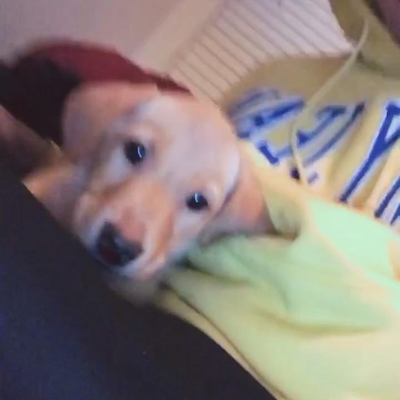 natedawg424